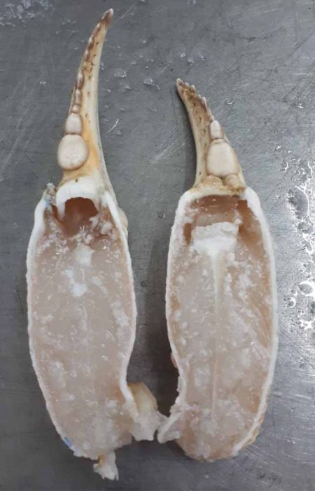 crab-meat
